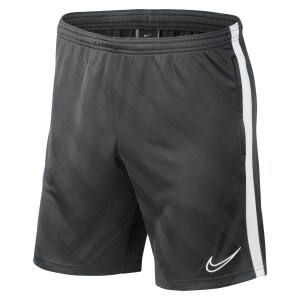 Dri-FIT Academy 19 Shorts
